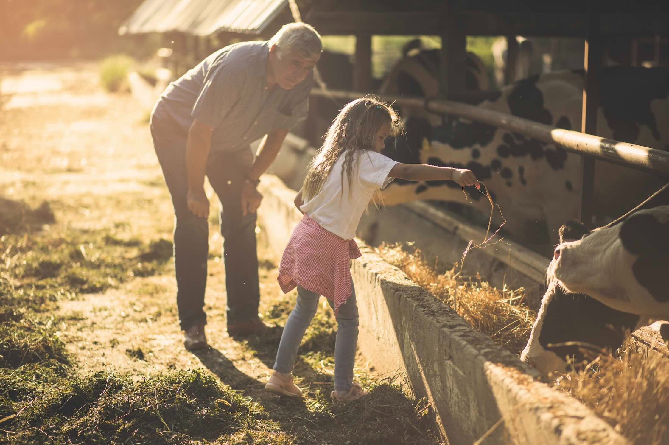 Translate Your Goals Into Clear, Actionable Direction