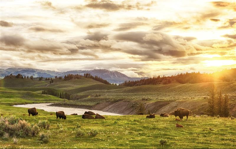 BROOKBRIDGE PRIVATE WEALTH FOR NATIVE AMERICAN TRIBES
