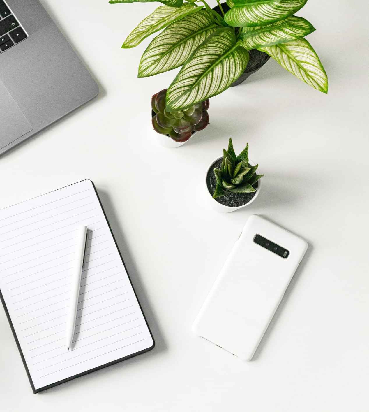 ... no copy here ...