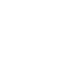 Fiduciary Services icon
