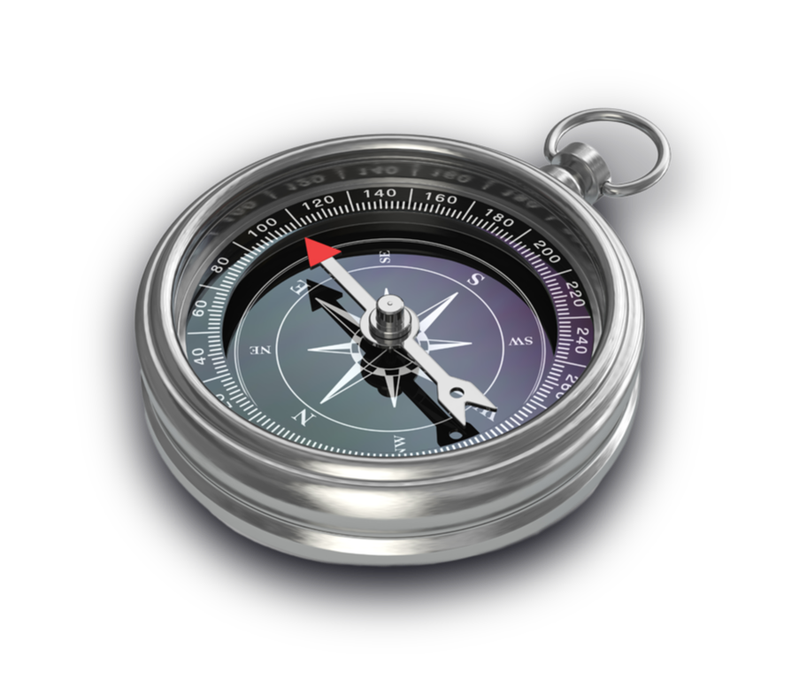 The Alison Wealth Difference<br/>