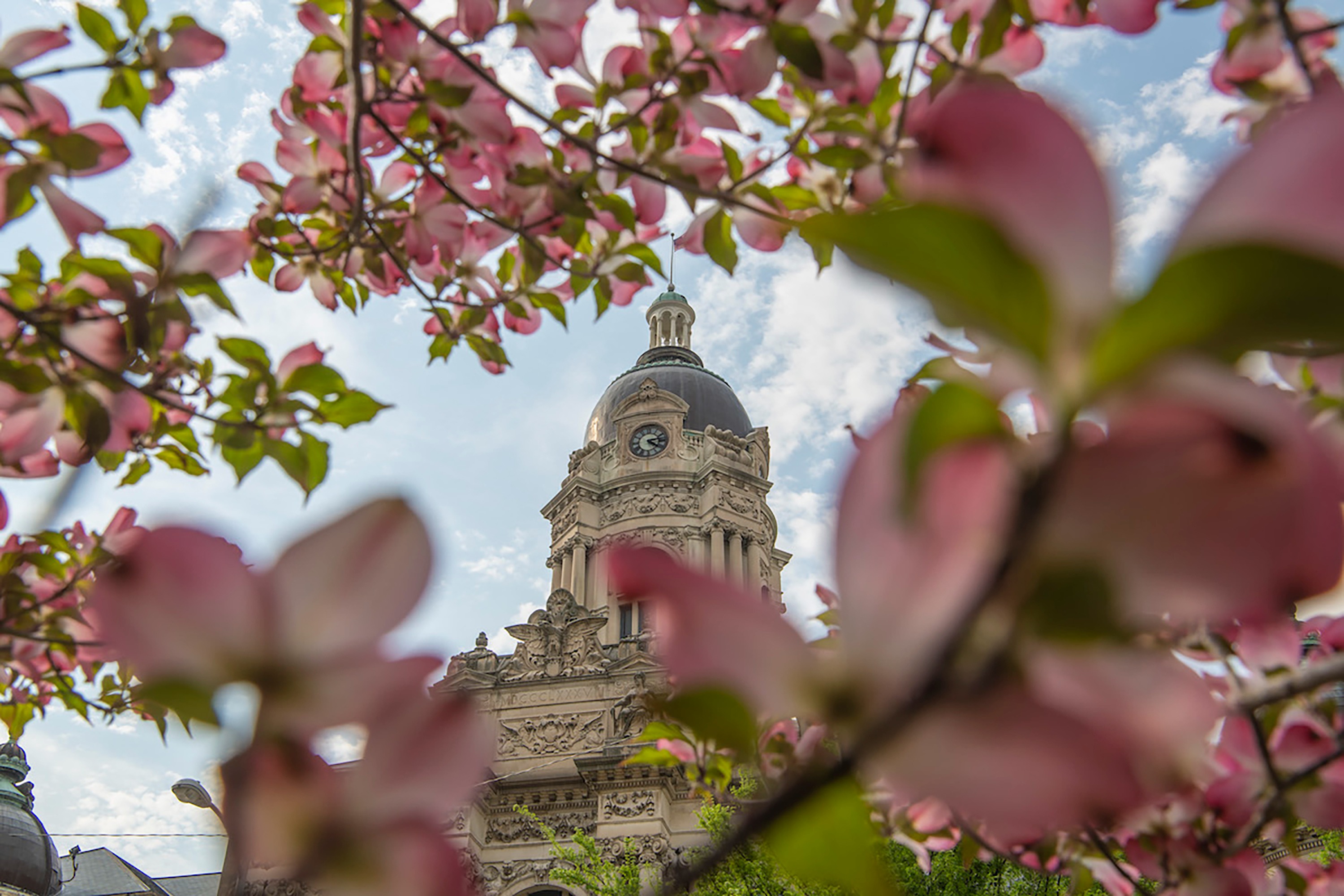 Jay K.<br/>Client Since 2019