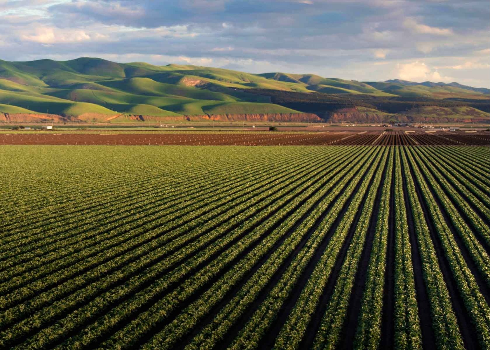 Week of March 10, 2025