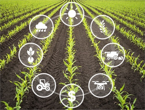 Agribusiness Solutions