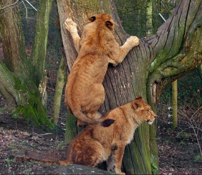 ... no copy here ...