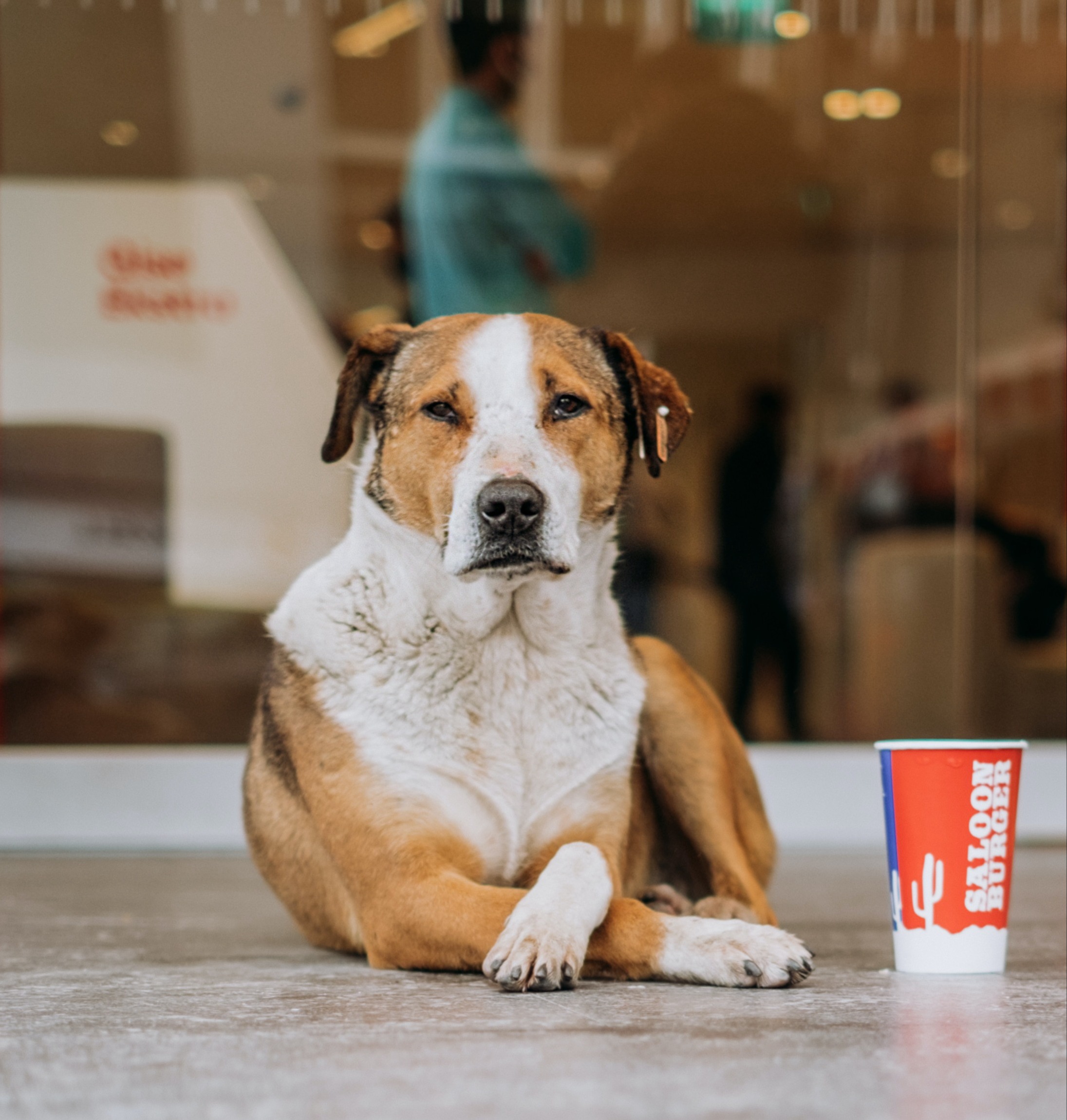 Entrepreneurs & Executives