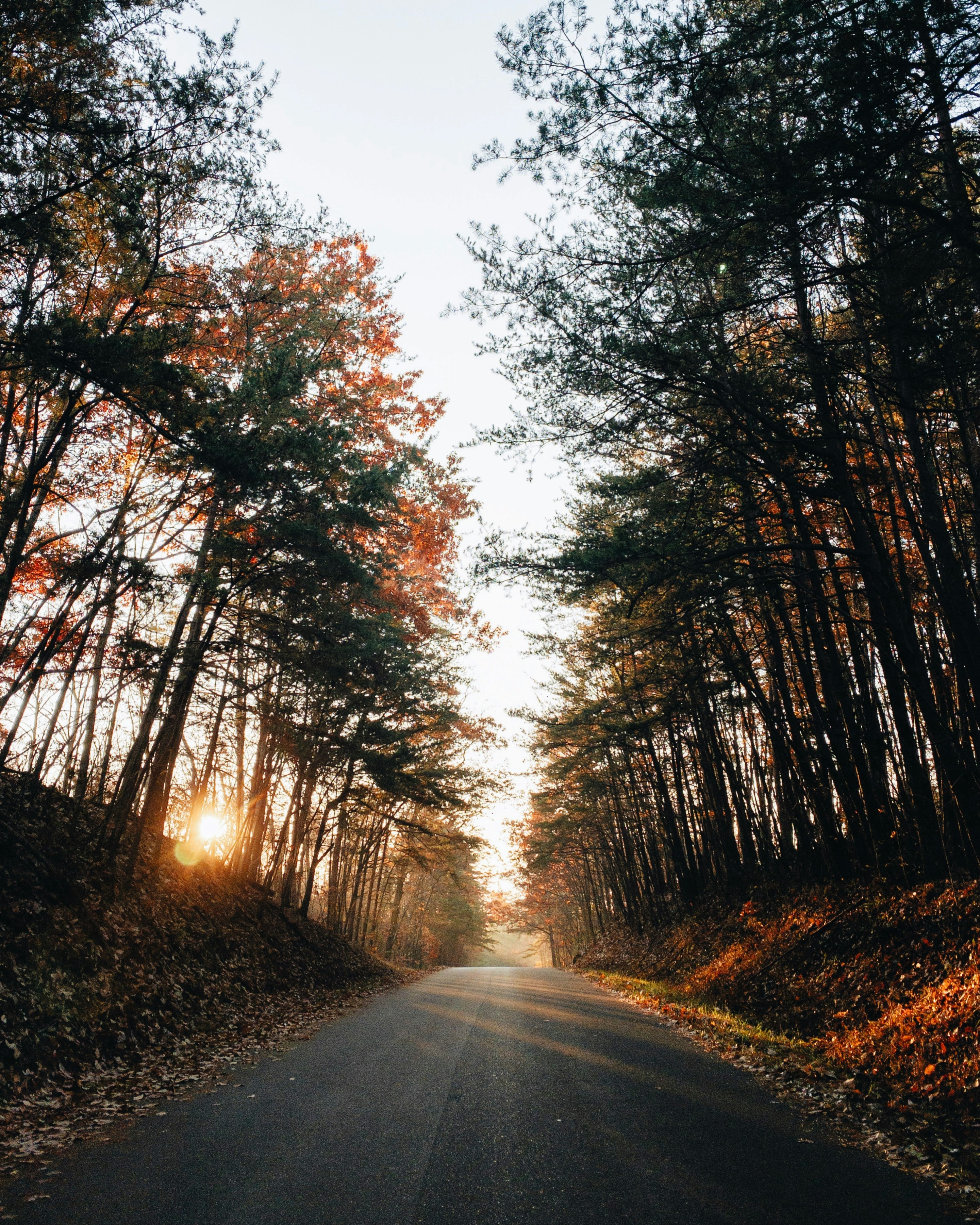 You Deserve Financial Excellence, East Tennessee