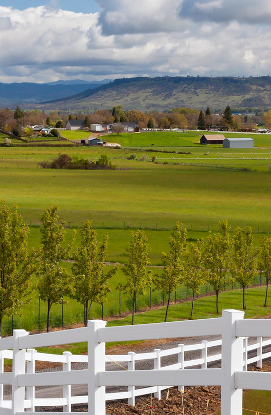 View of a farm