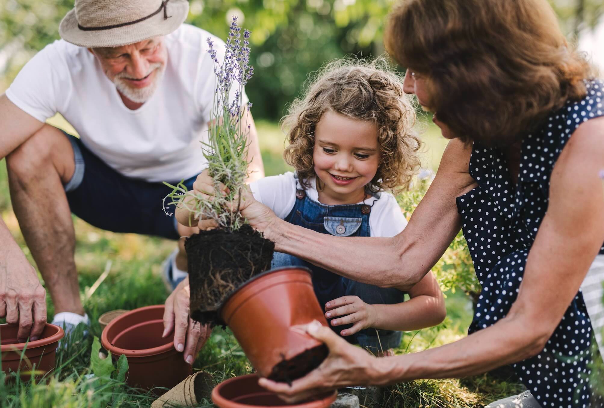 Partner With A Practice Designed To Keep Decisions Aligned Over Time