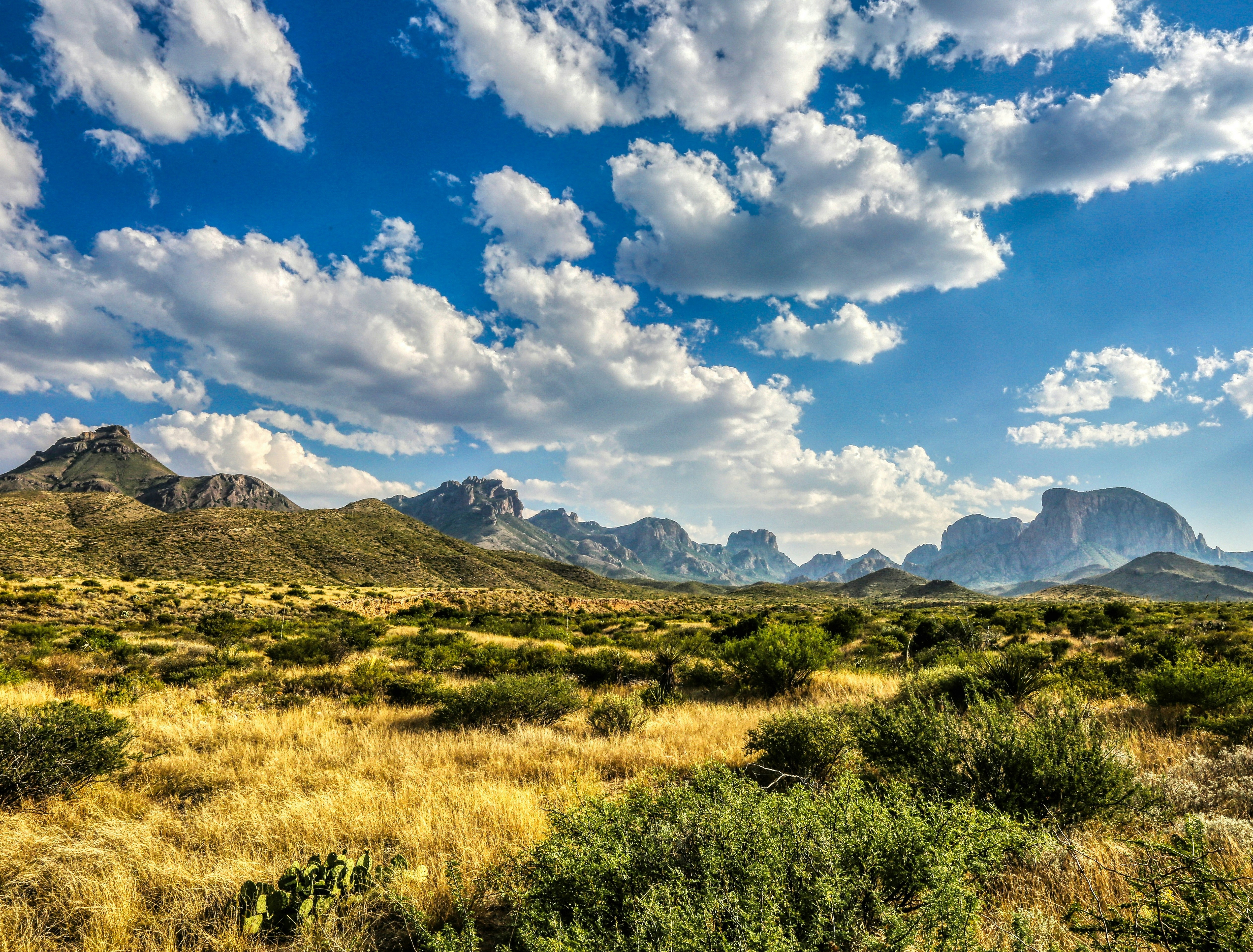 Texas