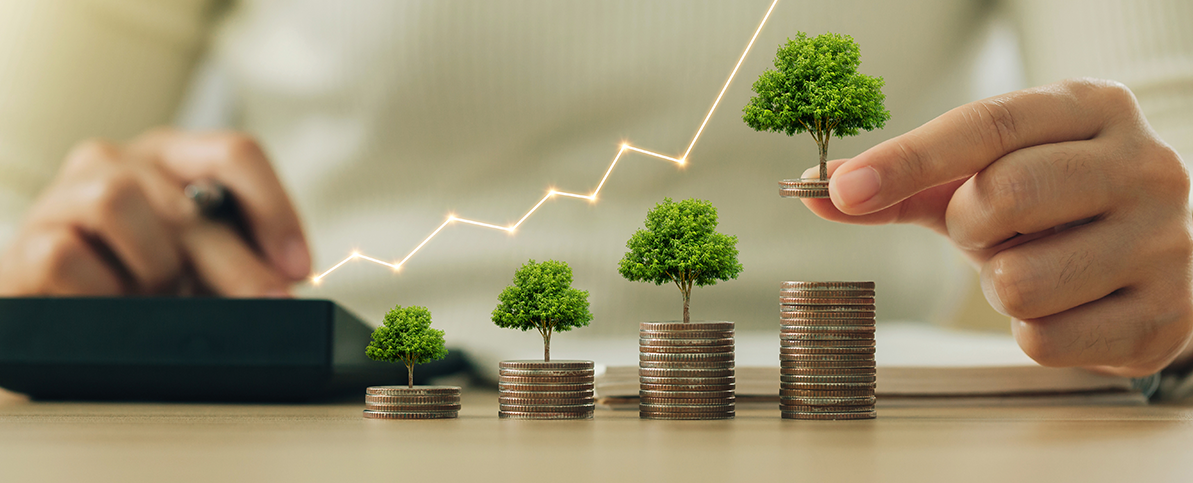 Investment & Wealth Building