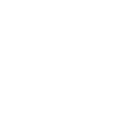 Asset Protection icon<br/>
