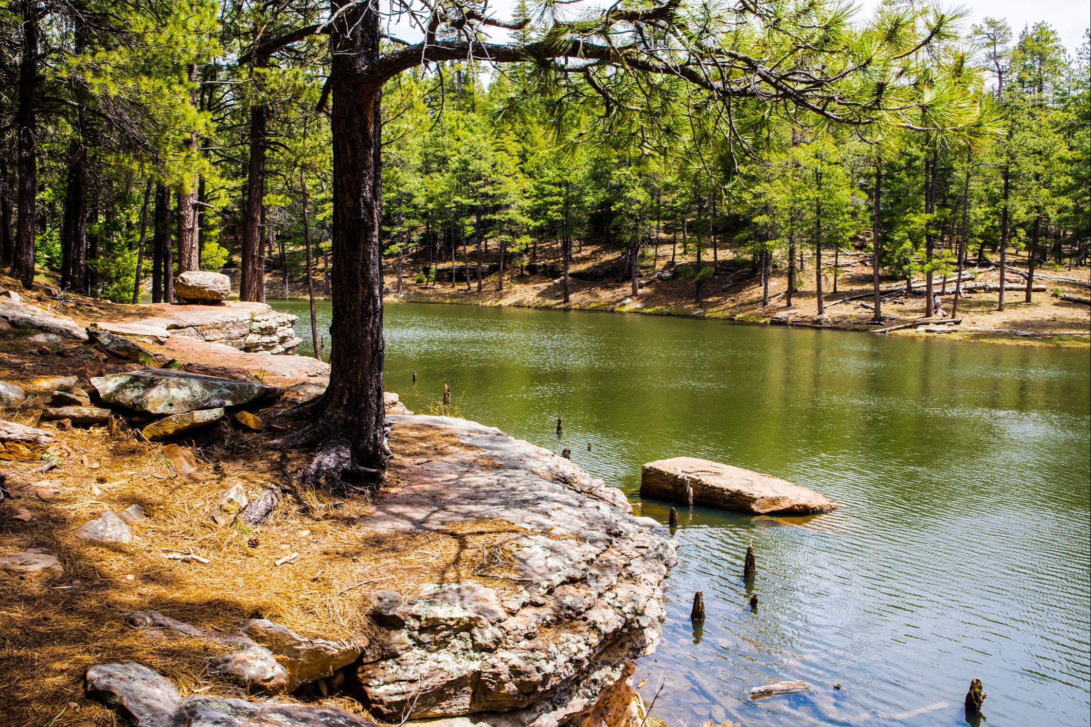 Payson, AZ