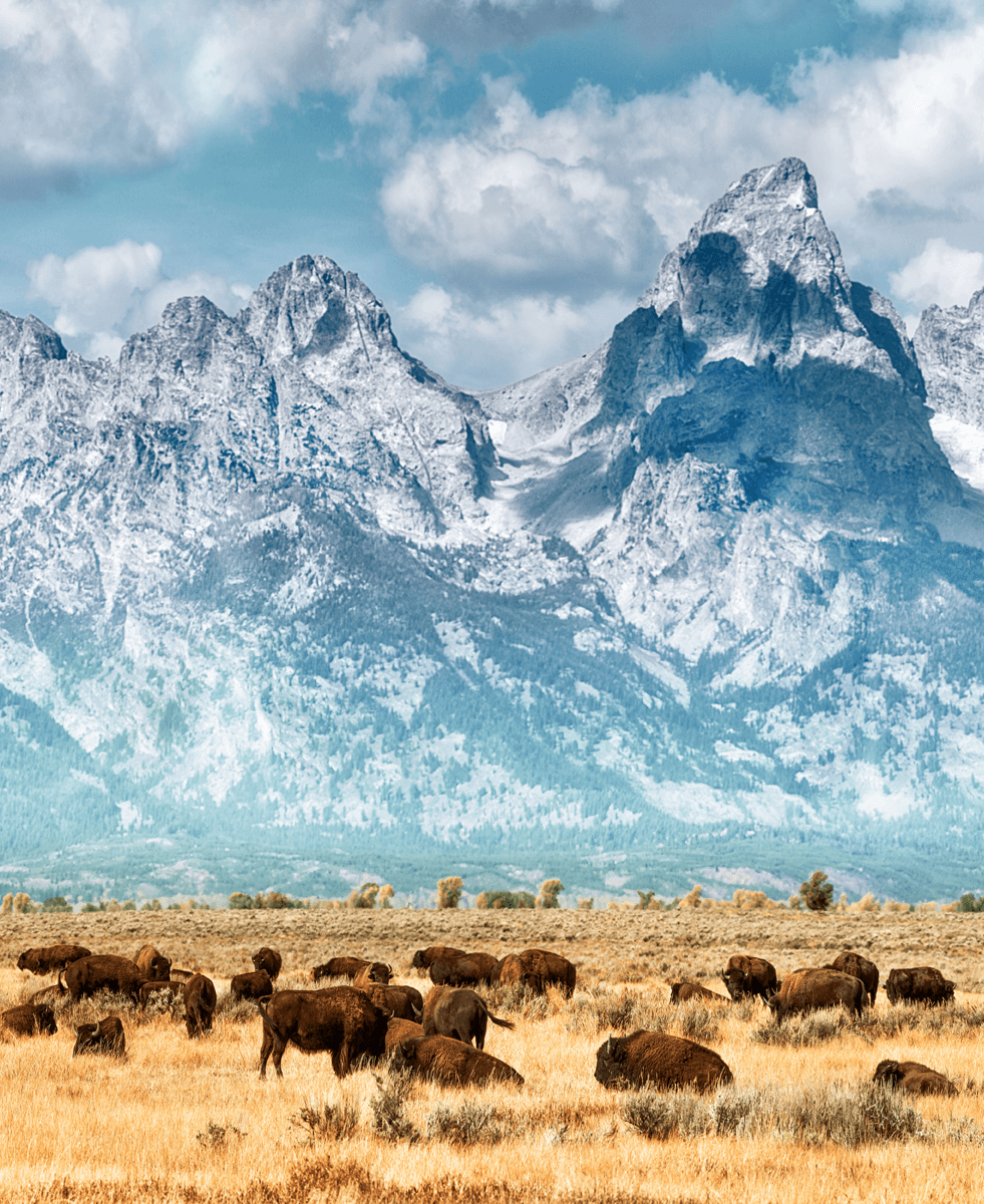 You Deserve Financial Excellence, Fremont County