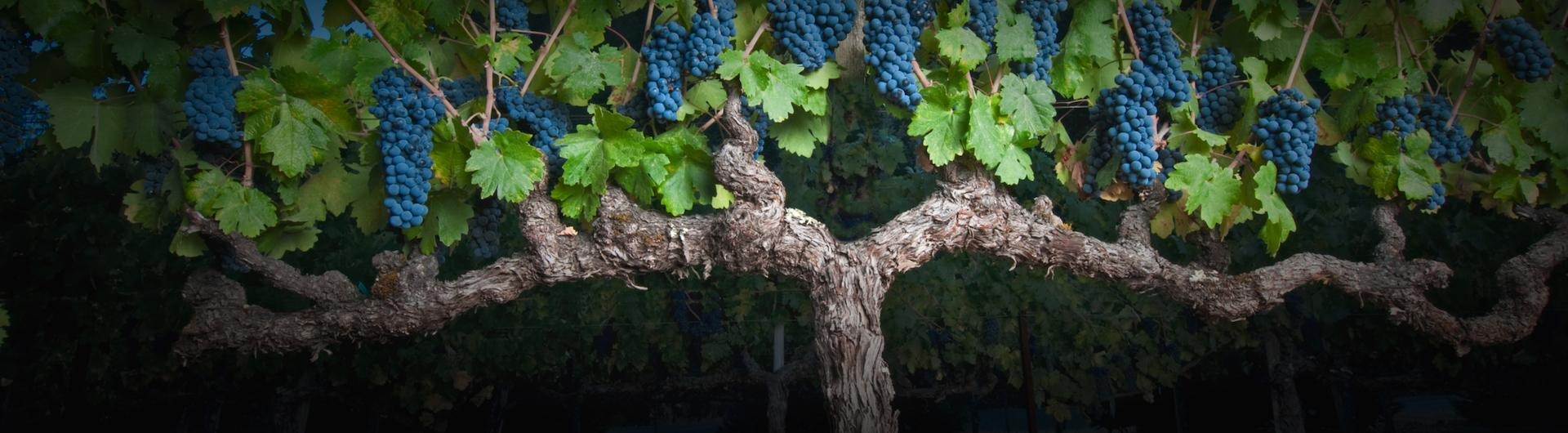 Branching Out Beyond Investments