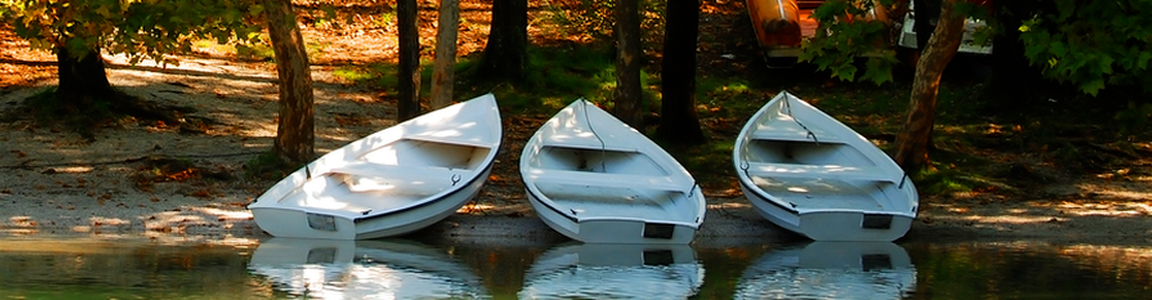 Boats pulled up on the side of lake