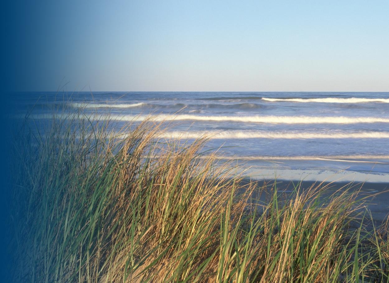 Oceanfront view of waves and beach