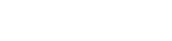 Perplexity AI <br/>