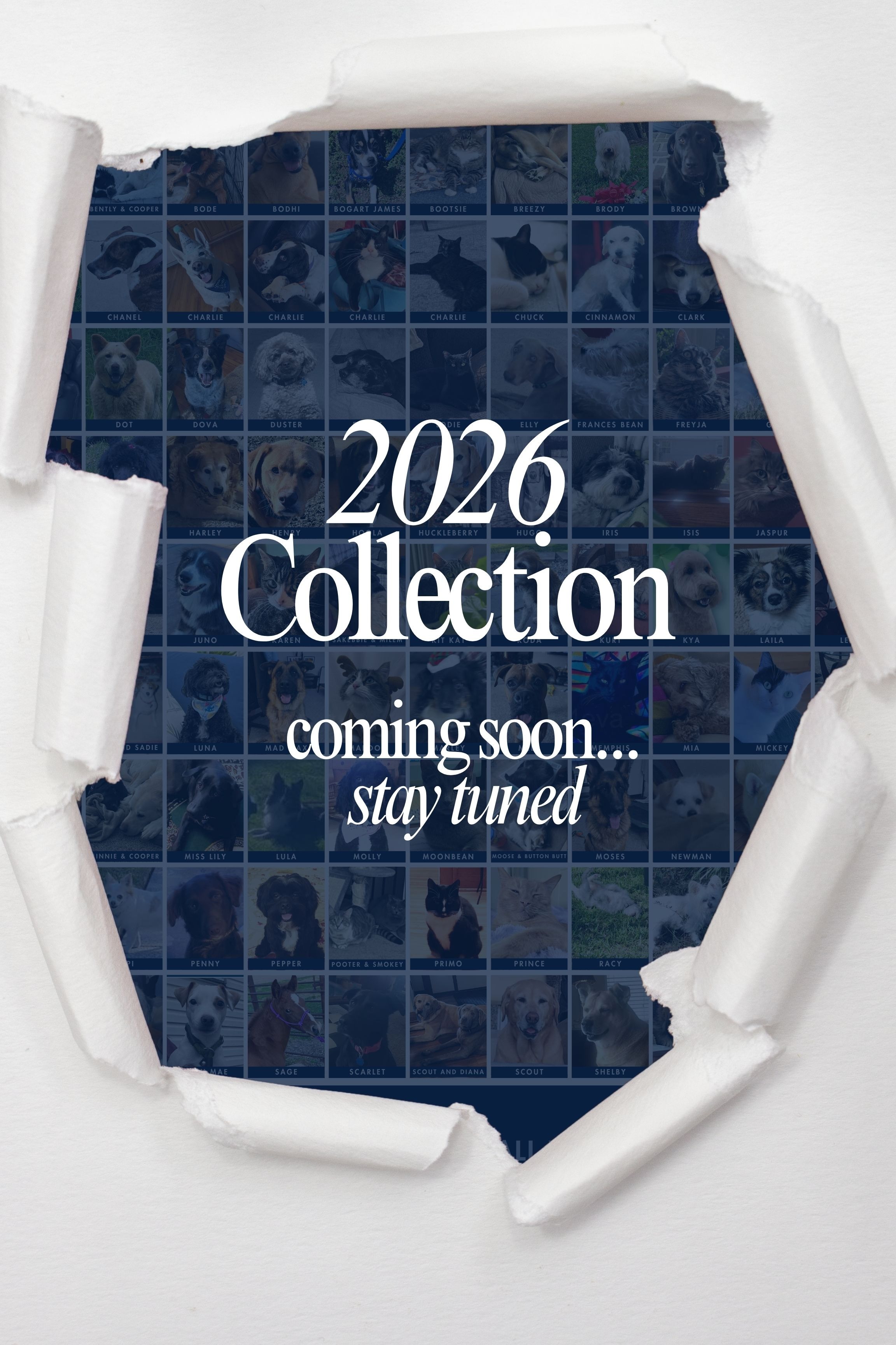 2026 Coming Soon!