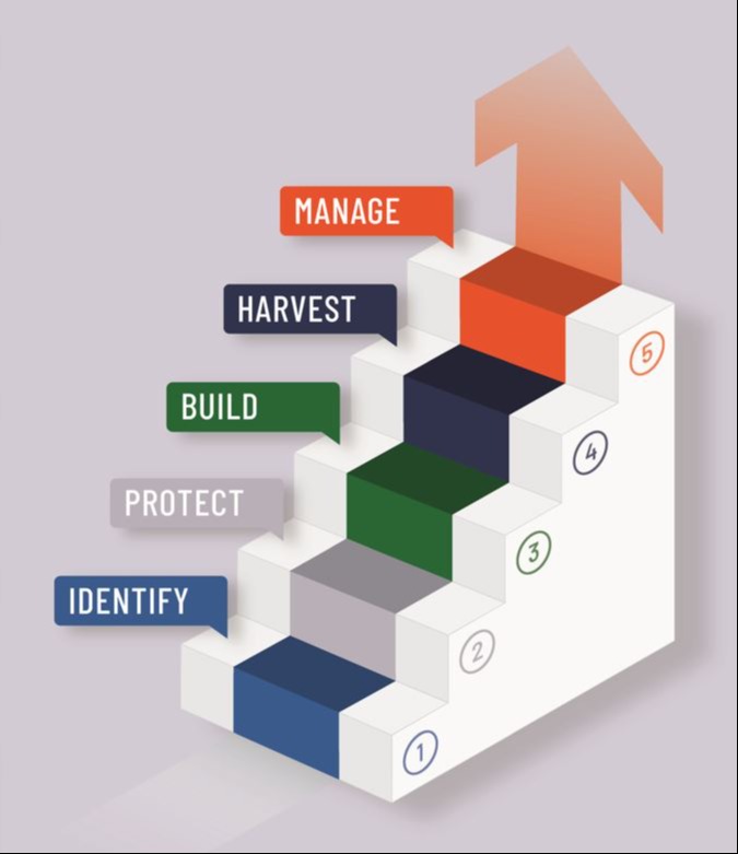 The 5 Stages of Value Maturity: How Owners Build Transferable Wealth