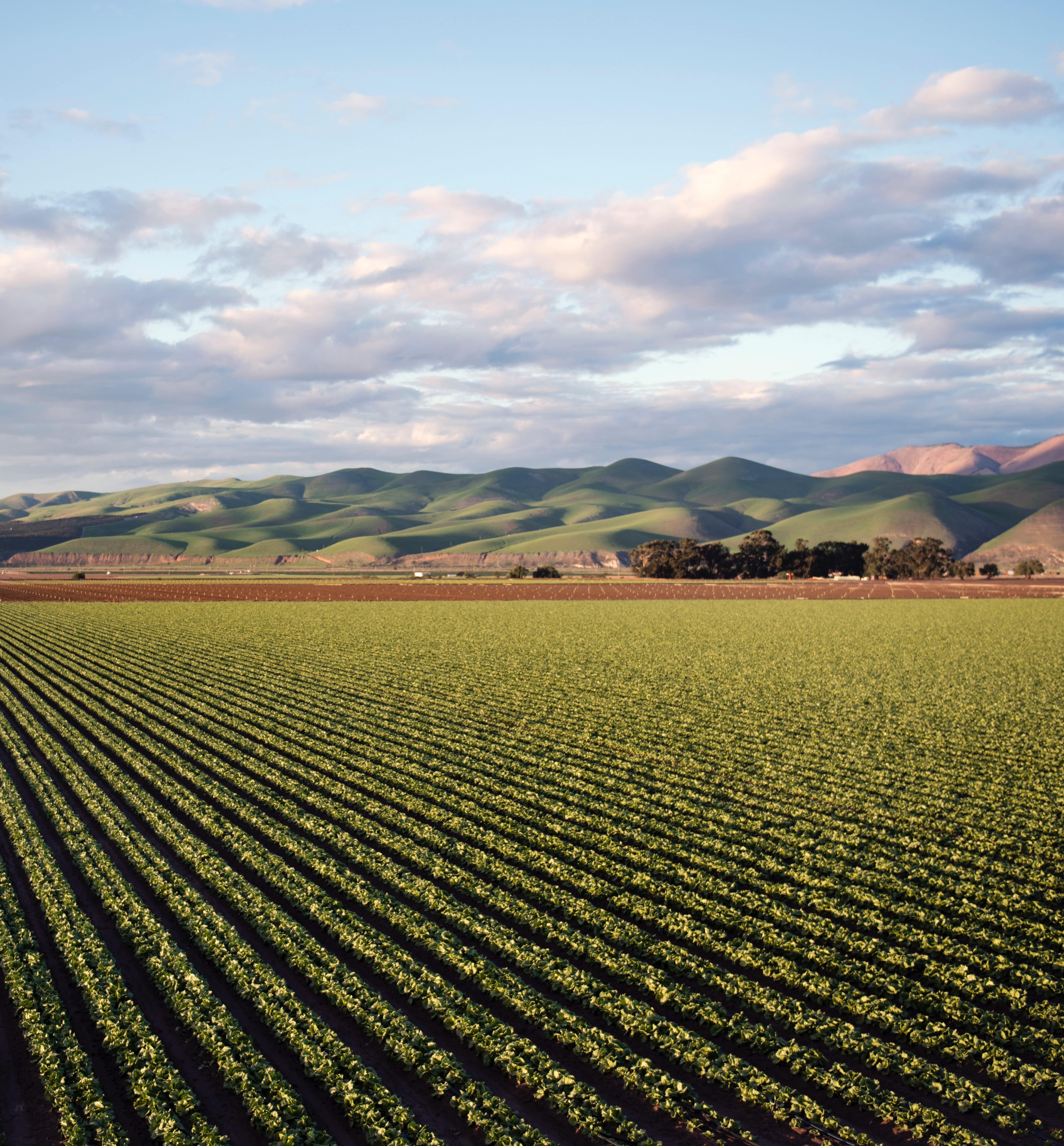 We serve an endangered species: The American Farm Family.