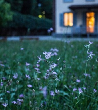 Insurance & Risk Analysis