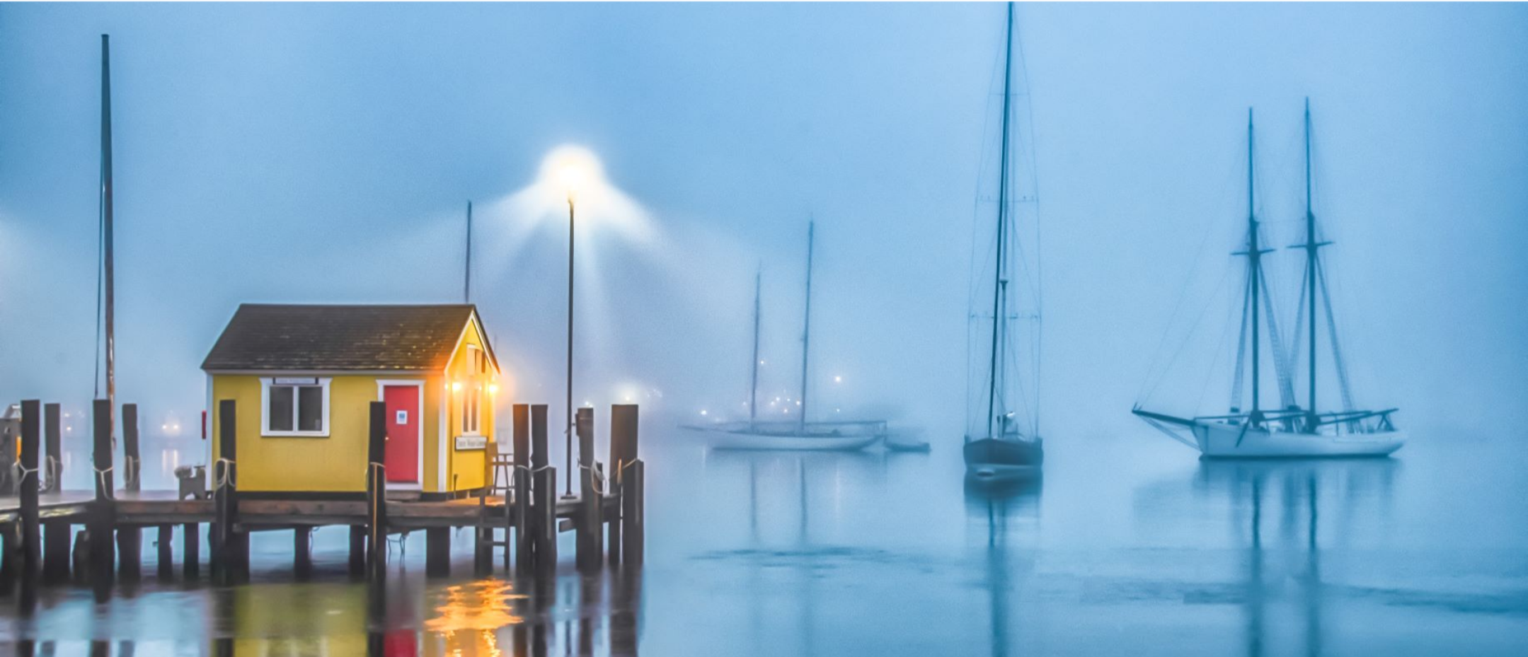 boats in a harobor next to a dock