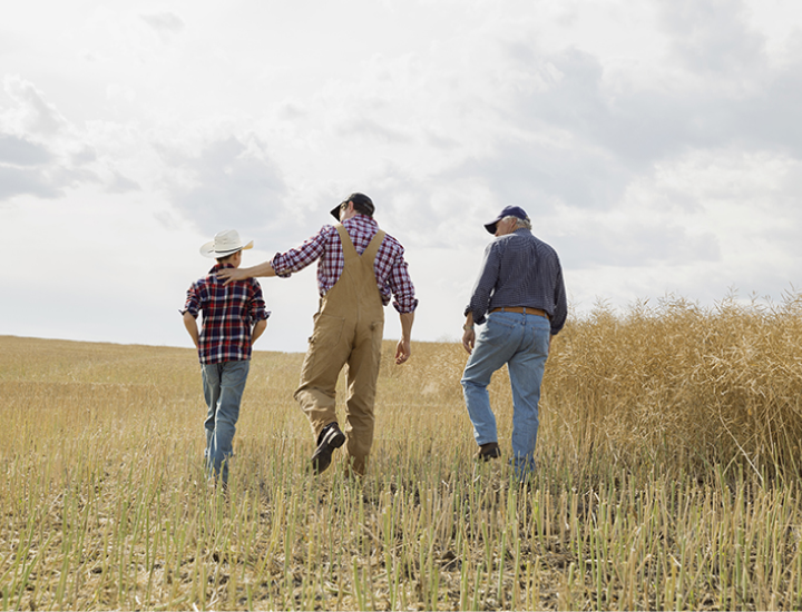 Father, son, and grandfather farmers walking together through a wheat field