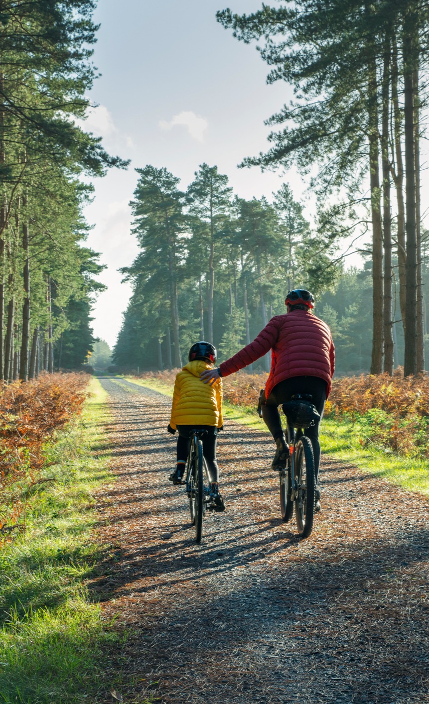 Father-and-son-riding-bicycles-down-a-tree-lined-gravel-trail