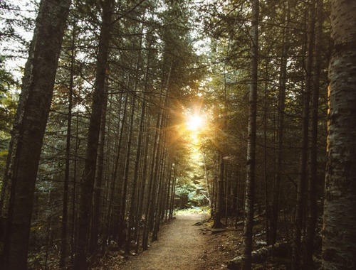 Estate <br/>Planning Strategies