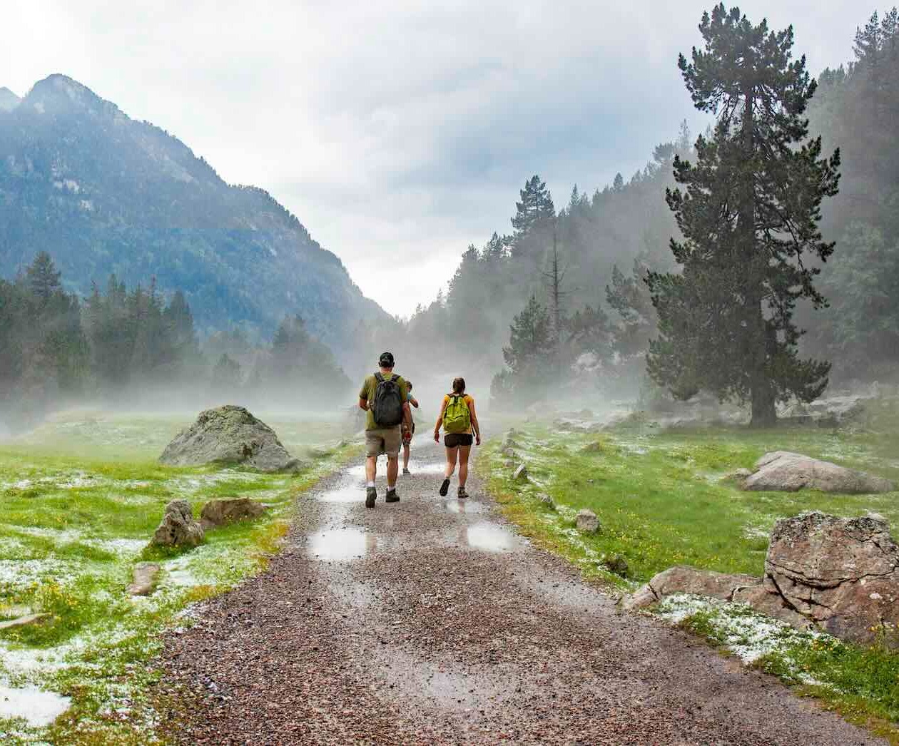 Individuals & Families