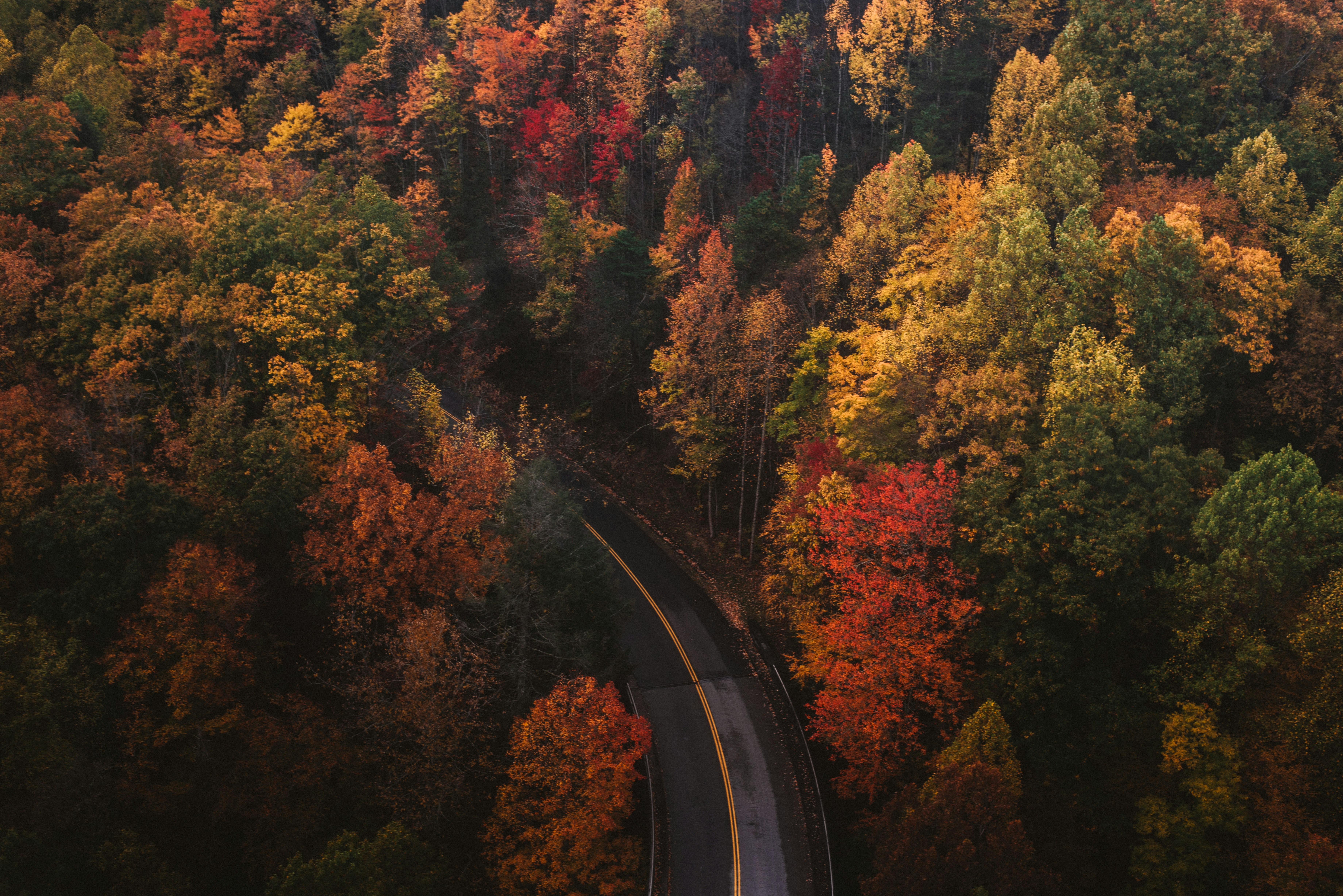 Tennessee Transplants & Retirees