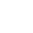 Risk Management & Insurance  icon