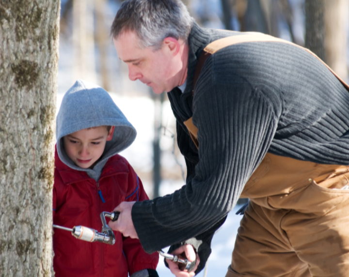 Father-and-son-tapping-tree
