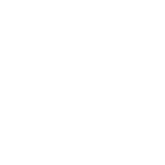 Insurance Optimization