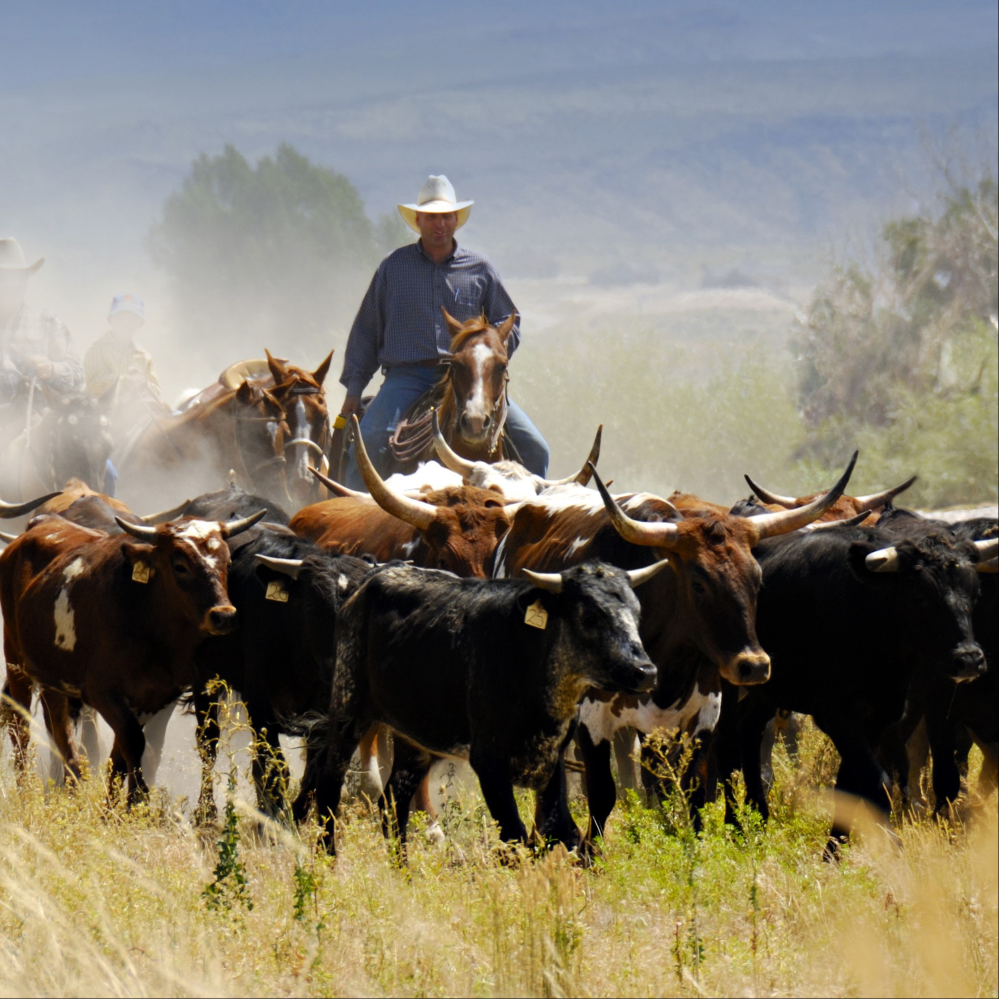 Longhorn Wealth Management Group