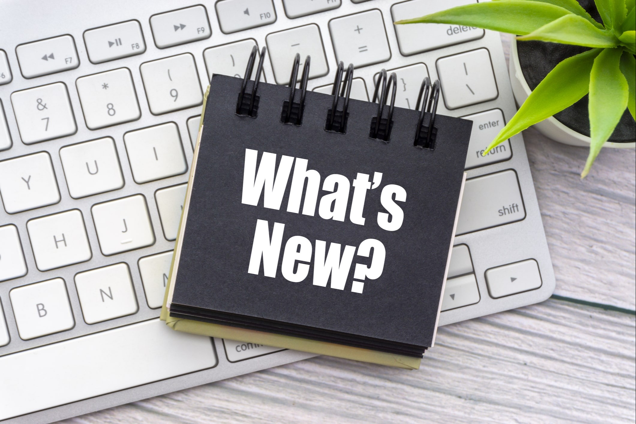 Weekly Market Commentary