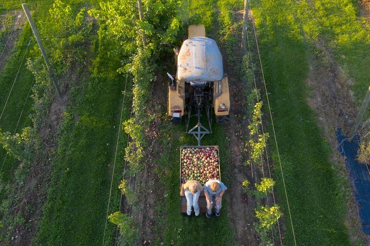 Agricultural Inputs