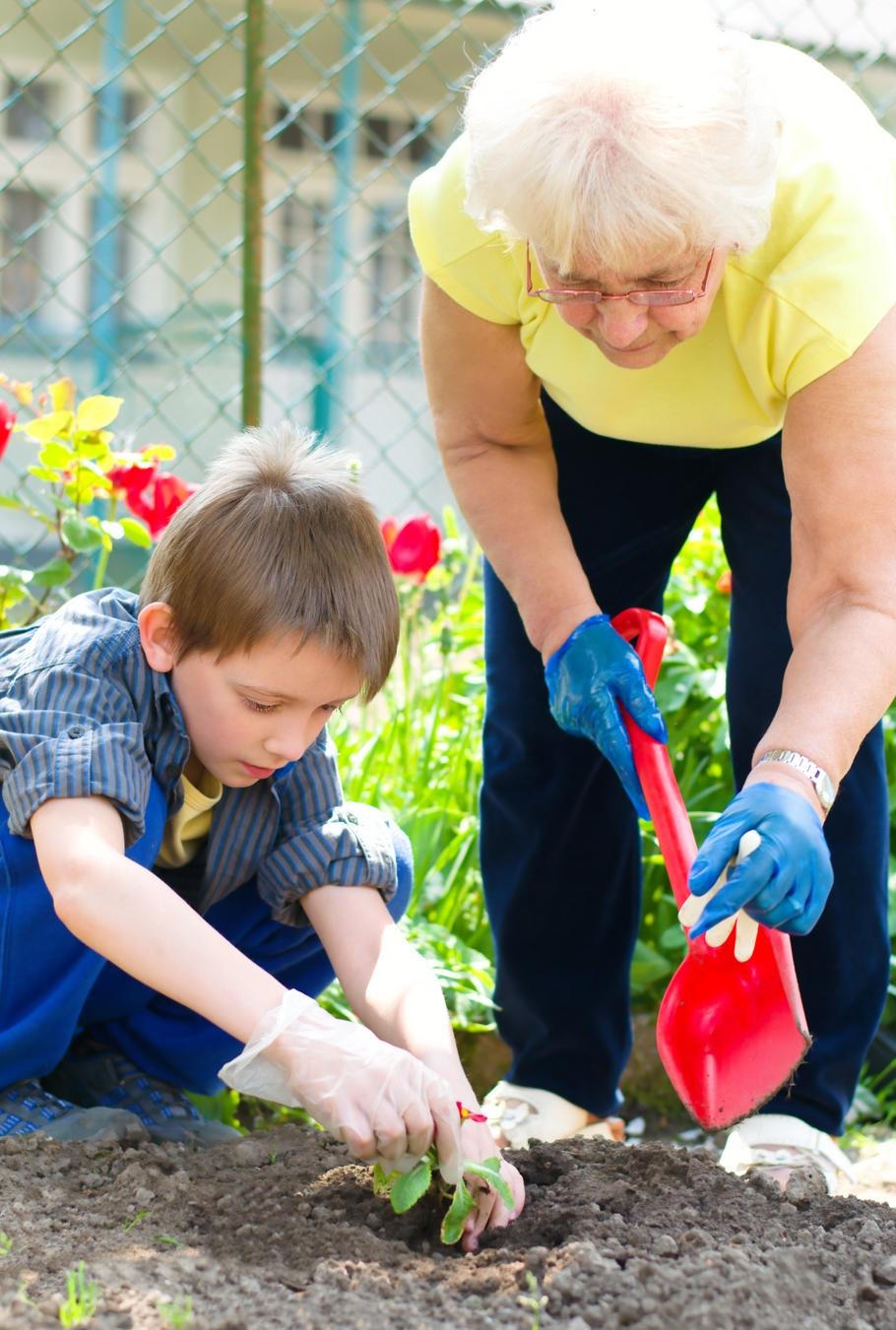 Grandmother and grandson planting flowers