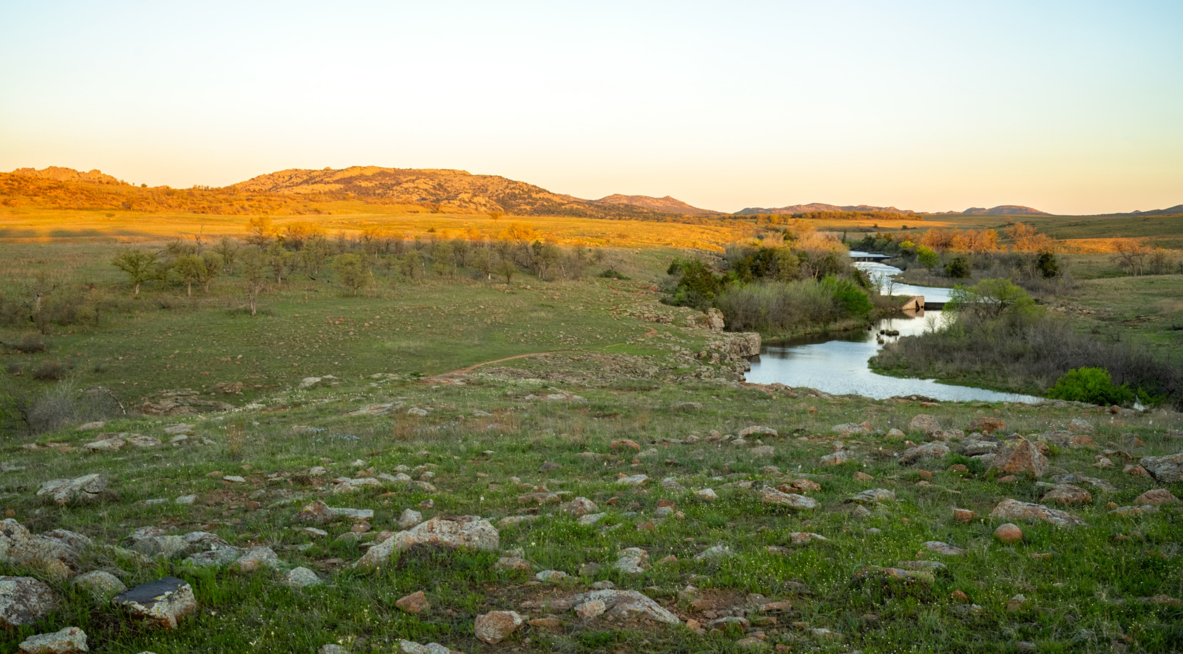 Portfolio Design & Management