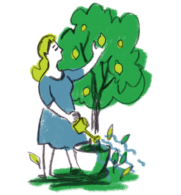 Creating <strong>Wealth Harmony®</strong>