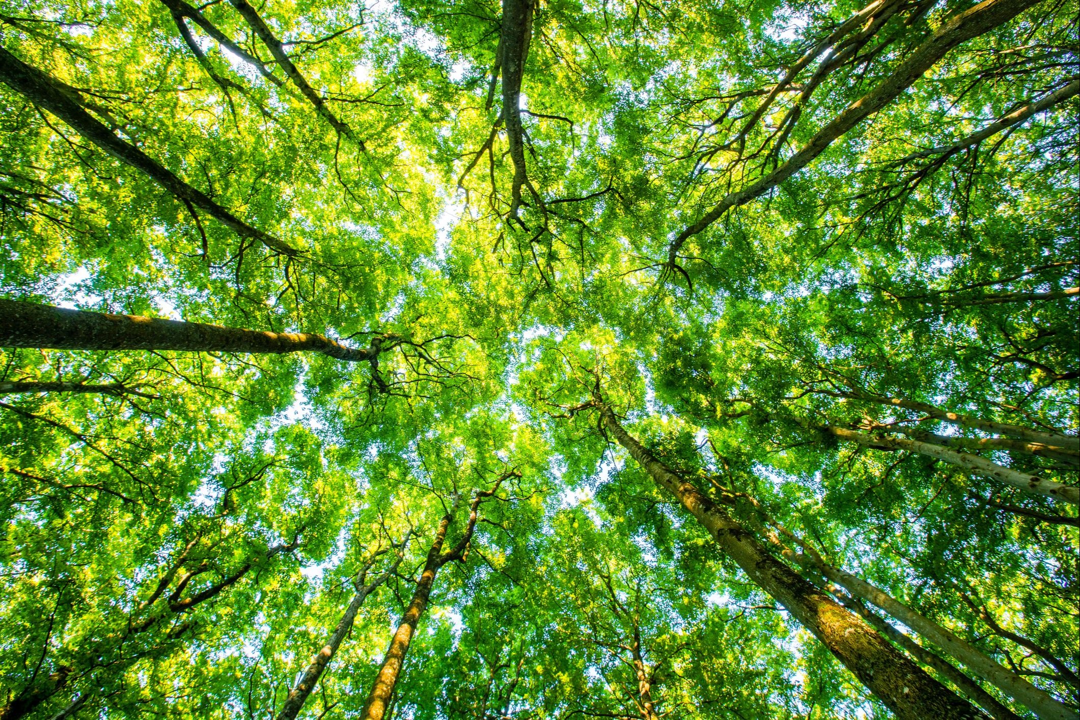 Buchman Financial Wealth Management Takes a Holistic Approach to...