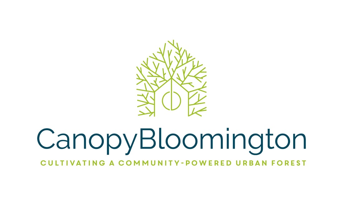 Canopy Bloomington