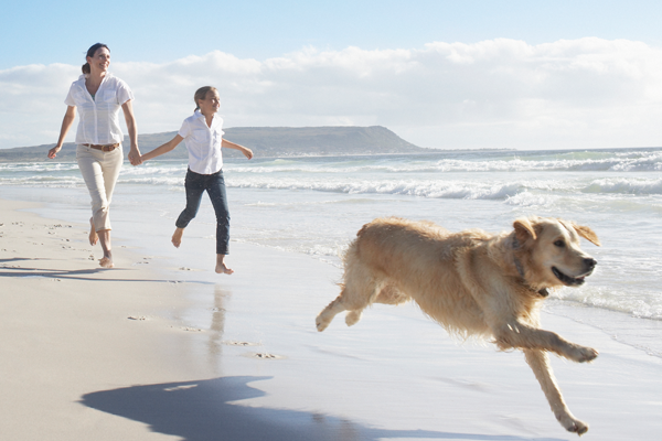 Risk-Management-Section