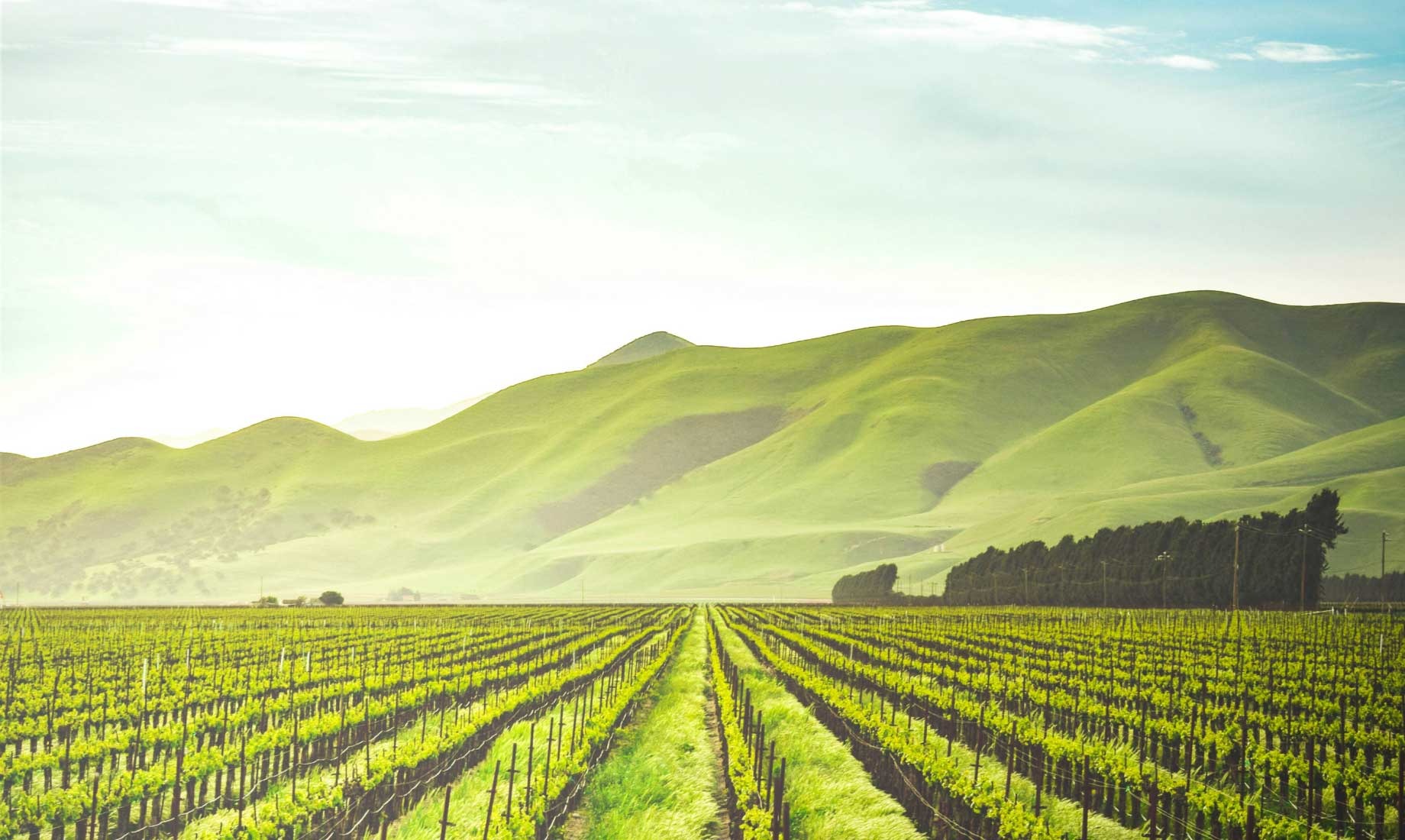 Sure-footed precision.