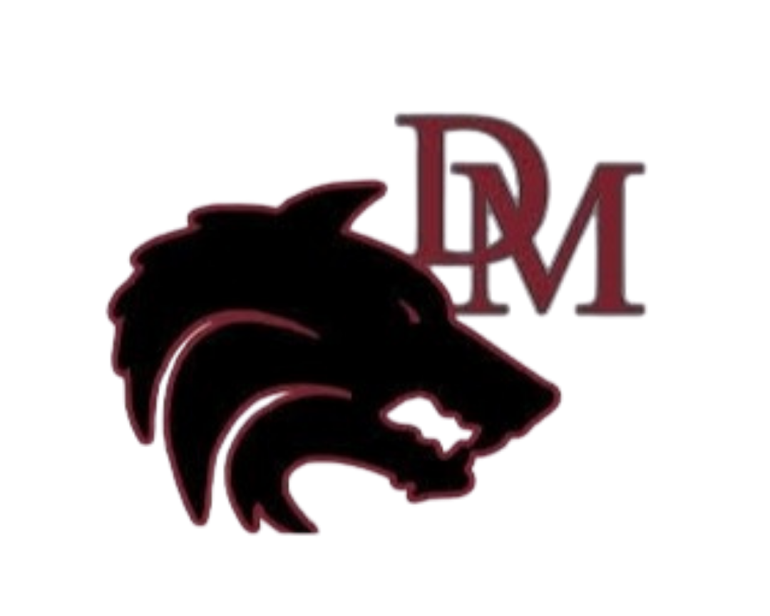 Desert Mountain High School PTO