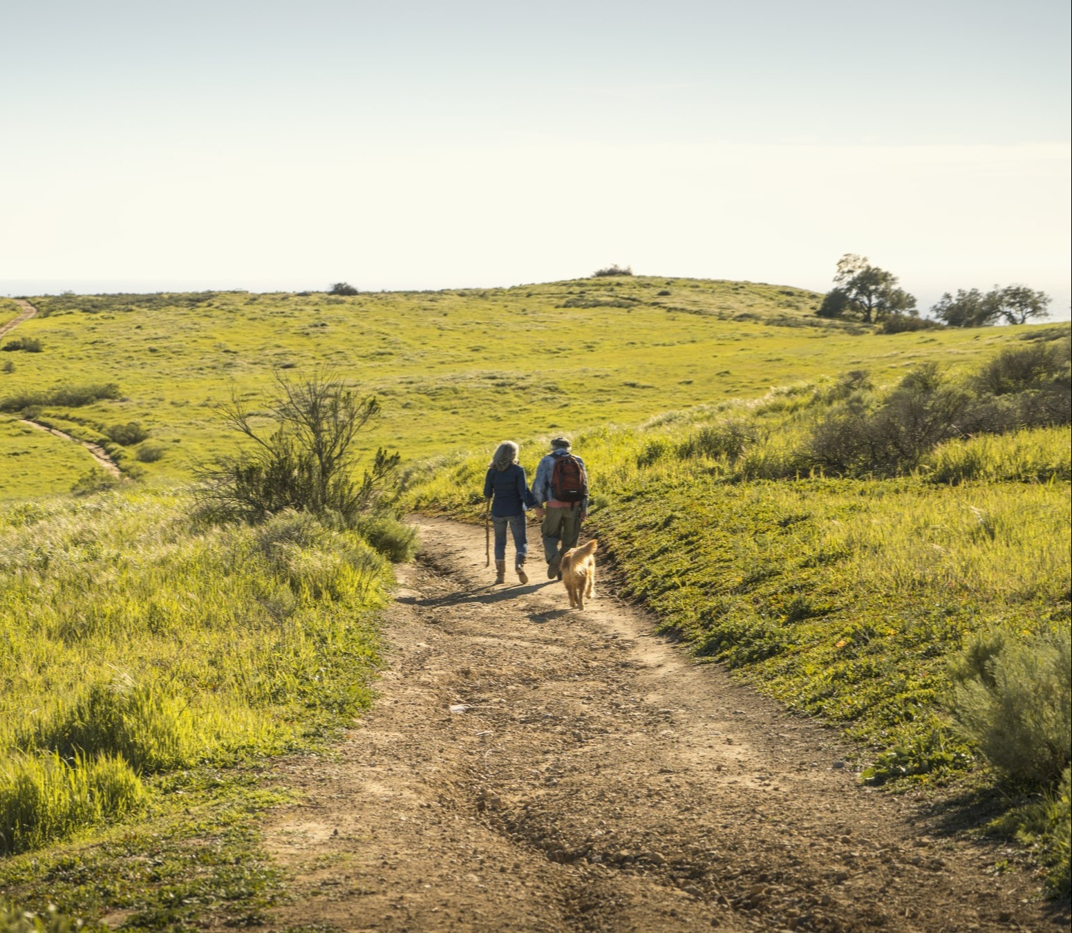 Comprehensive Financial Planning