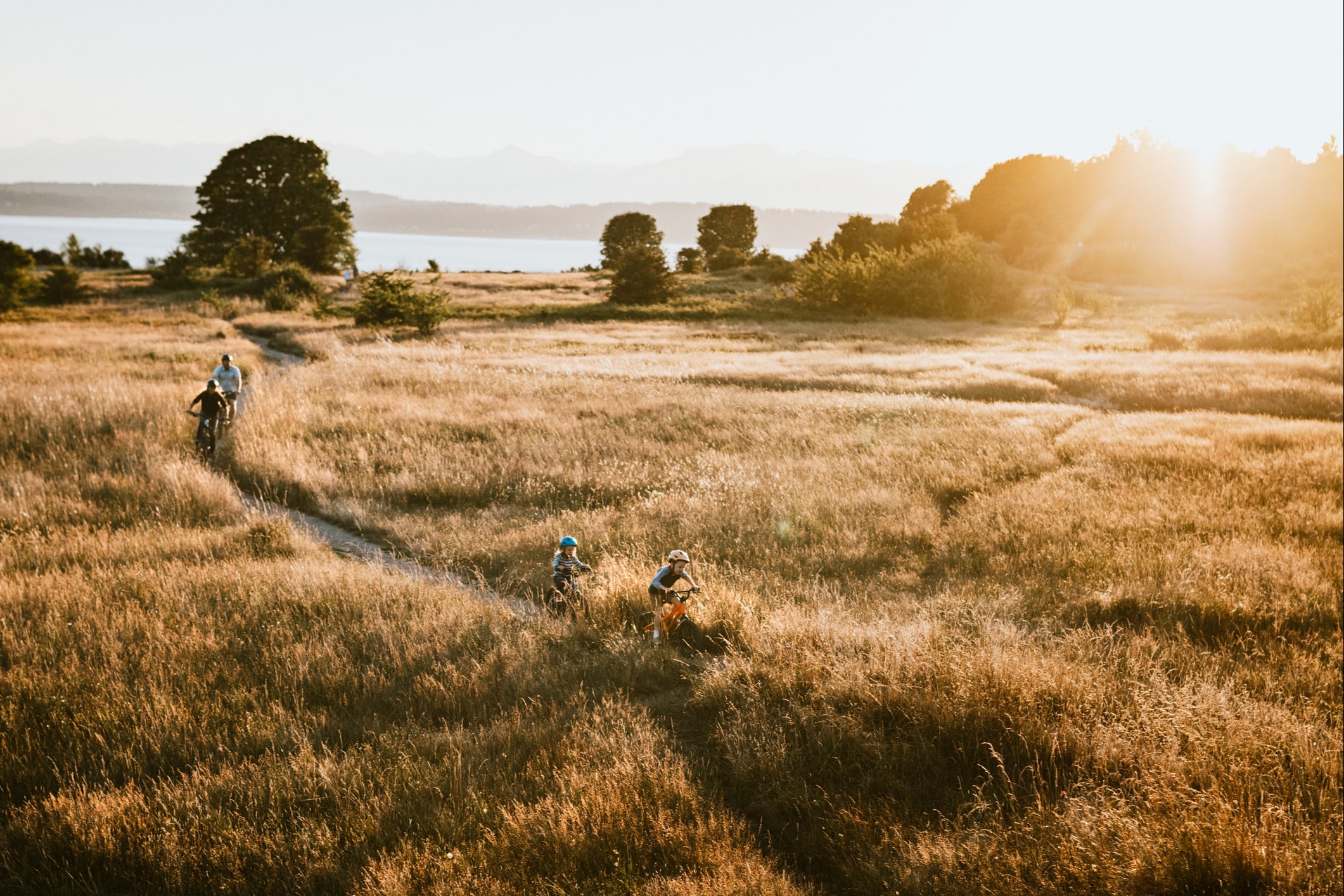 Second Opinion Service<br/>