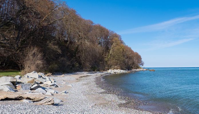 View of coast with rocks on land