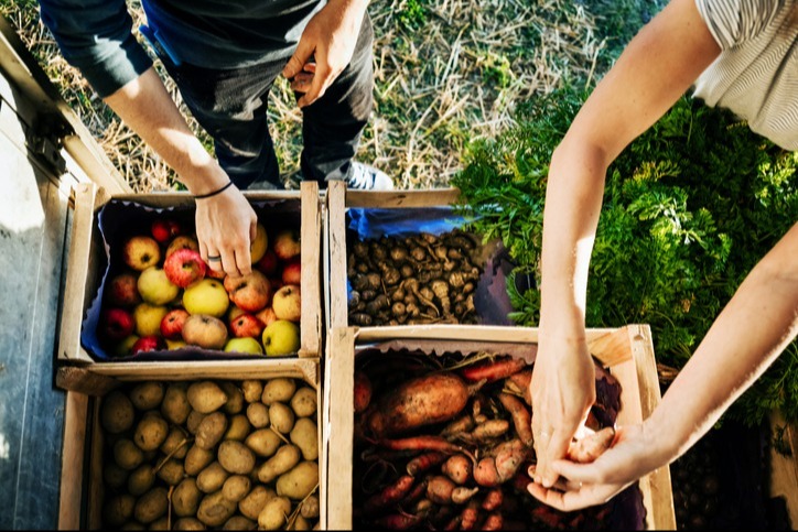 Agricultural Production